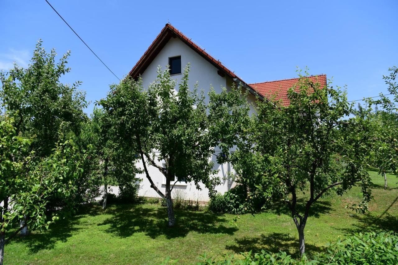 Apartment Stjepan Rakovica Buitenkant foto