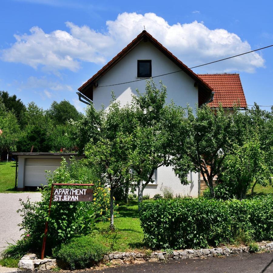 Apartment Stjepan Rakovica Buitenkant foto